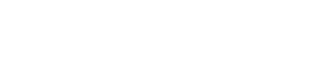 Logo Budimex, klient Przeładunki Wójcik