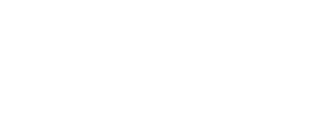 Logo Port Szczecin-Świnoujście, klient Przeładunki Wójcik