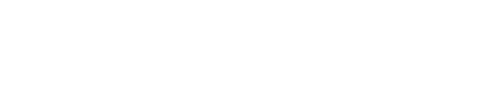 Logo Budimex, klient Przeładunki Wójcik